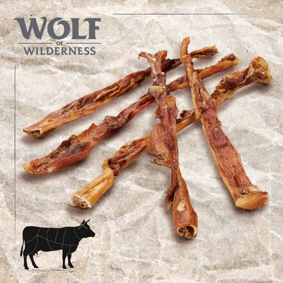 Wolf of Wilderness Pelle bovina extra lunga "High Uplands"