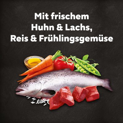 Mit frischem Huhn und Lachs, Reis und Frühlingsgemüse. Zutaten: Huhn, Lachs, Karotten, Tomaten, Erbsen, Öl, Reis.
