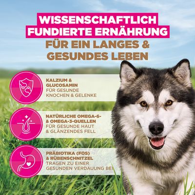 Eukanuba Grain Free Adult Large & Giant Breed Seefisch - 12 kg