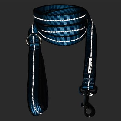 Icepeak Pet Highway Basic bånd, aqua