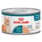 Royal Canin Ageing 15+ Mousse Sparpaket: 24 x 85 g