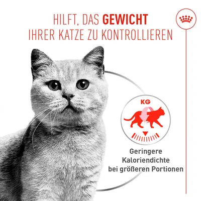 Royal Canin Light Weight Care AirLift Mousse - lot économique : 24 x 85 g