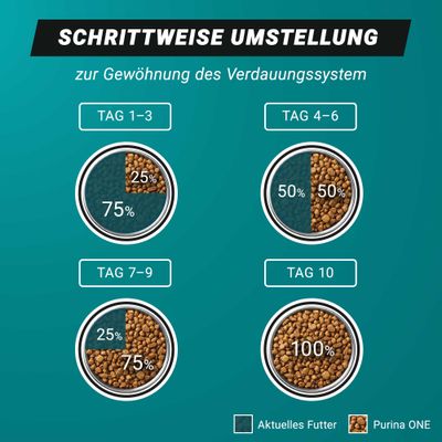 PURINA ONE High Protein Lachs - 650 g