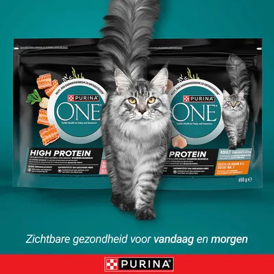 PURINA ONE High Protein kattenvoer, ondersteunt spieropbouw, hoge verteerbaarheid, gezond hart, rijk aan kip als ingrediënt nr. 1, 650 g zak.