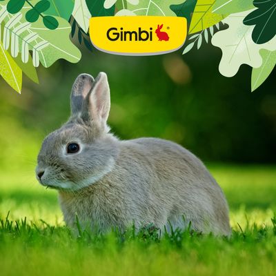 Gimbi Mother Nature Rabbit