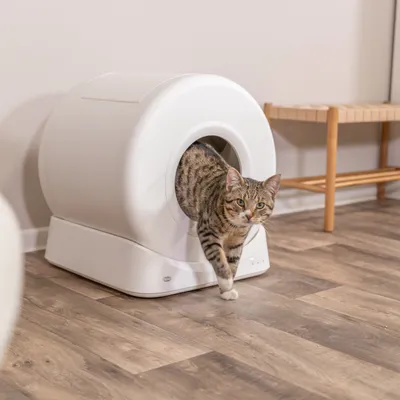 Trixie Smarte Katzentoilette Trixie Smarte Katzentoilette