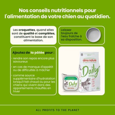 Conseils nutritionnels pour chiens : utilisez des croquettes de haute qualité comme base, mettez toujours de l'eau fraîche à disposition, complétez avec de la nourriture humide pour améliorer le goût et en cas de perte d'appétit ou de difficultés à mâcher.