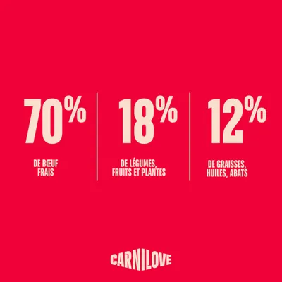 Carnilove True Fresh Kitten Bœuf - lot économique : 2 x 6 kg