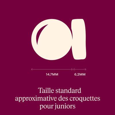 Carnilove Active Junior Large Breed Saumon et dinde - 12 kg