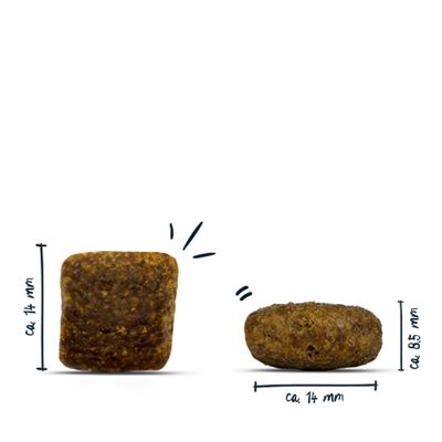 Zwei Kroketten mit Maßangaben: ca. 14 mm hoch und breit, zweite Krokette ca. 8,5 mm hoch und 14 mm breit.