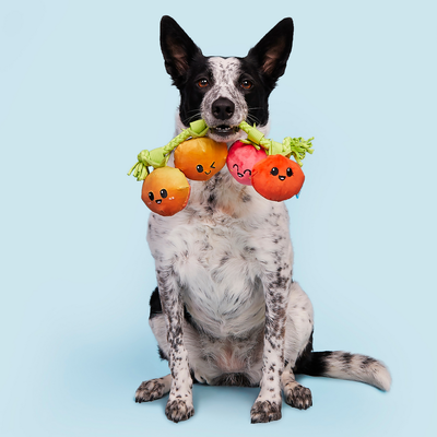 Bark Hundespielzeug Tomatenstaude - ca. L 25 x B 22 x H 5,5 cm