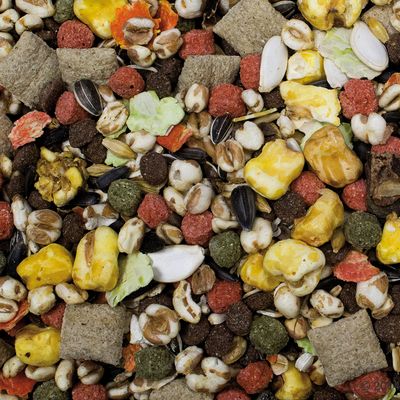 Sekoitus erilaisia jyviä, siemeniä, värillisiä pellettejä ja kuivattuja kasviksia. Näkyvissä myös auringonkukansiemeniä ja popcornin paloja.