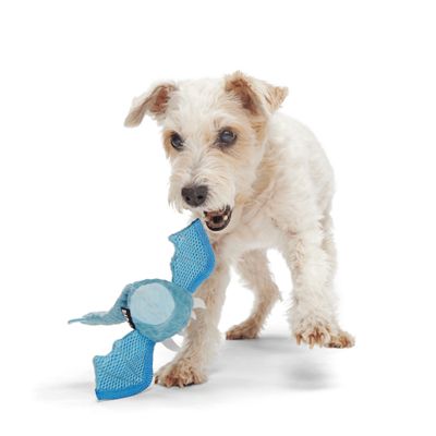 Bark Brrrtha ‑lohikäärmelelu
