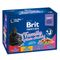 Brit Premium Cat, 12 x 100 g Family Plate