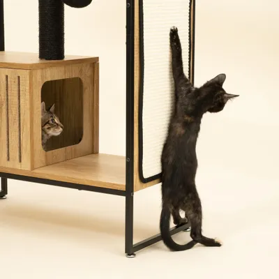 Katzenkratzbaum aus Holz und Metall mit Sisal-Kratzfläche, eine Katze kratzt daran, eine weitere sitzt in der Höhle. Katzenkratzbaum aus Holz und Metall mit Sisal-Kratzfläche, eine Katze kratzt daran, eine weitere sitzt in der Höhle.