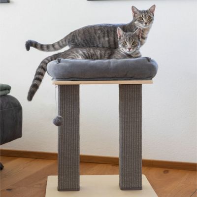 Tiragraffi Kerbl Pet Noah I
