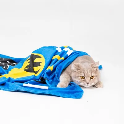 Coperta DC Batman - L 100 x P 70 cm