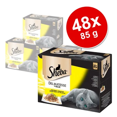 Sheba Delikatesse in Gelee, zestaw 48 x 85 g. Opakowanie z wizerunkiem kota i talerzem karmy. Widoczny napis: Geflügel Variation Selection à la Volaille.