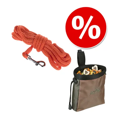 Orange Hundeleine mit Metallkarabiner und braune Leckerli-Tasche mit Herzförmigen Snacks. Rotes Prozentzeichen für Rabattaktion.