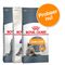 Royal Canin Probeerpakket 3 x 400 g Sensible 33 + Hair & Skin + Hairball