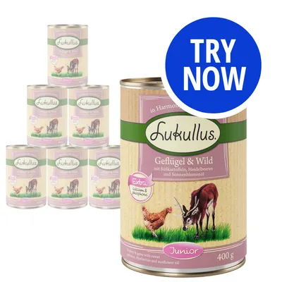 Lukullus Geflügel & Wild Junior 400g cans with extra calcium and phosphorus, poultry and game with sweet potatoes, blueberries and sunflower oil. Blue badge reads 'Try Now'.