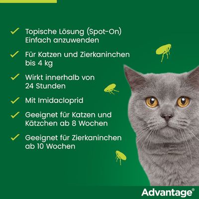 Advantage Spot-On Lösung für Katzen und Zierkaninchen bis 4 kg. Wirkt innerhalb von 24 Stunden. Geeignet ab 8 Wochen für Katzen, ab 10 Wochen für Kaninchen. Mit Imidacloprid.