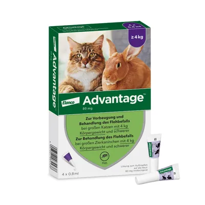 Advantage® für Katzen und Zierkaninchen - 4 Pipetten x 0,8 ml (> 4kg)