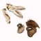 Probierpaket Wolf of Wilderness Kauohren mit Fell - von Rind & Kaninchen Mix 320 g (ca. 13 Stück)