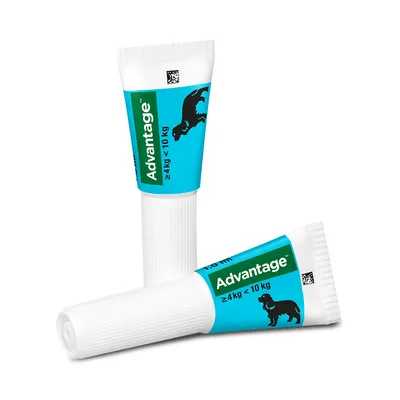 Advantage Spot-On für Hunde von 4 bis 10 kg, zwei Tuben mit blauem Etikett und Hundesymbol. Advantage Spot-On für Hunde von 4 bis 10 kg, zwei Tuben mit blauem Etikett und Hundesymbol.