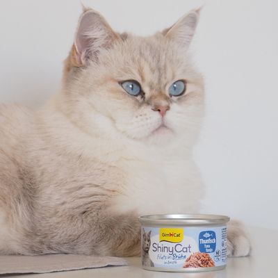 GimCat ShinyCat Filet i buljong 6 x 70 g - Tonfisk