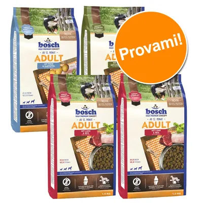 Confezioni di crocchette per cani Bosch Adult, vari gusti visibili: mit Fisch & Kartoffel, mit Geflügel & Dinkel, mit Lamm & Reis. Etichetta arancione con testo: Provami!