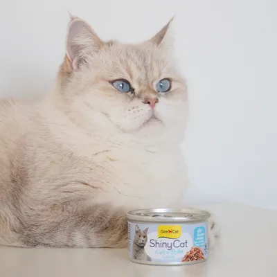 GimCat ShinyCat Filetto in Brodo 24 x 70 g Alimento umido per gatto - Tonno & Acciughe