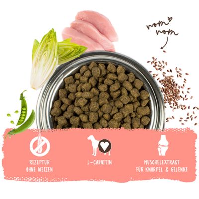 Trockenfutter in Napf mit Erbsen, Chicorée, Huhn und Leinsamen. Hinweise: Rezeptur ohne Weizen, L-Carnitin, Muschelextrakt für Knorpel & Gelenke.