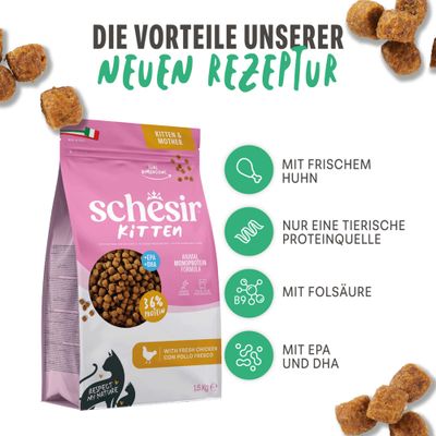 Schesir Kitten mit Huhn