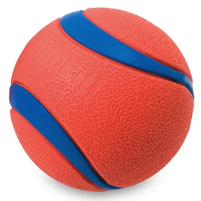 Hundboll av märket Chuckit!, synlig text: 'Chuckit!', orange med blå ränder, gummimaterial.