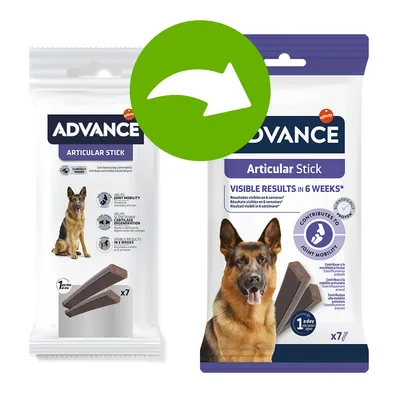 Advance Articular Stick, sachet avec photo de chien, texte visible : 'VISIBLE RESULTS IN 6 WEEKS', 'x7', '1 a day', illustrations de sticks et mentions sur la mobilité articulaire.