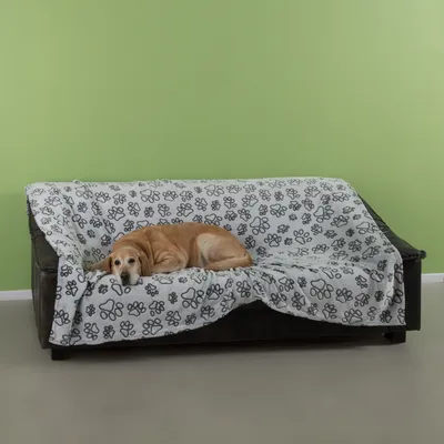 Koira makaa sohvalla, joka on peitetty valkoisella mustalla tassukuviollisella peitteellä.