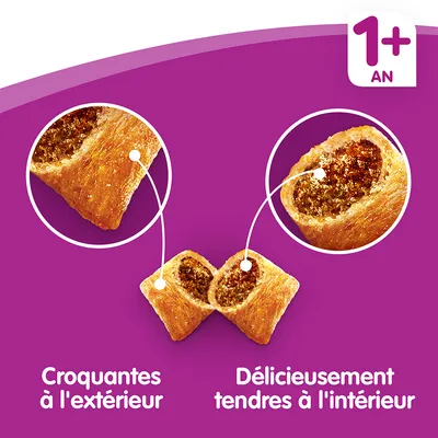 Croquettes fourrées, croquantes à l’extérieur, tendres à l’intérieur. Texte visible : 1+ an, Croquantes à l’extérieur, Délicieusement tendres à l’intérieur. Croquettes fourrées, croquantes à l’extérieur, tendres à l’intérieur. Texte visible : 1+ an, Croquantes à l’extérieur, Délicieusement tendres à l’intérieur.