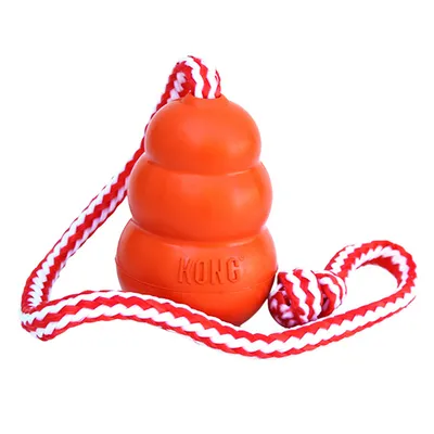 KONG Spielzeug aus orangefarbenem Gummi mit rot-weissem Seil, geeignet für interaktives Spielen.