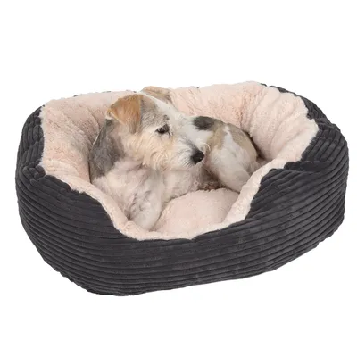 Hund ligger i en oval hundsäng med mjuk, cremefärgad innervaddering och mörkgrått yttermaterial.