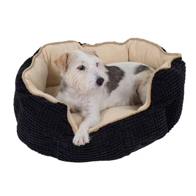 Black pet bed with beige inner cushion, suitable for small to medium-sized pets. Textured surface and padded edges for comfort.