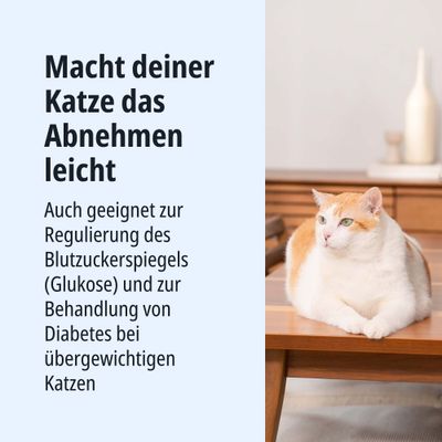 Macht deiner Katze das Abnehmen leicht. Geeignet zur Regulierung des Blutzuckerspiegels und Behandlung von Diabetes bei übergewichtigen Katzen.
