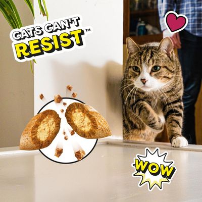 Text: Cats can't resist, WOW. Shown are a sliced-open snack with filling and a curious cat.