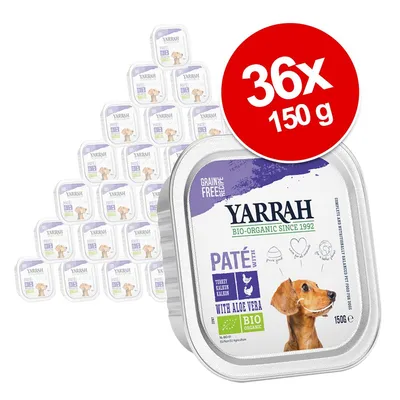 Yarrah Bio-Organic Paté pulykával és aloe verával, 36×150 g-os csomagolás, gabonamentes recept, kutya képe a dobozon, BIO jelölés látható. Yarrah Bio-Organic Paté pulykával és aloe verával, 36×150 g-os csomagolás, gabonamentes recept, kutya képe a dobozon, BIO jelölés látható.