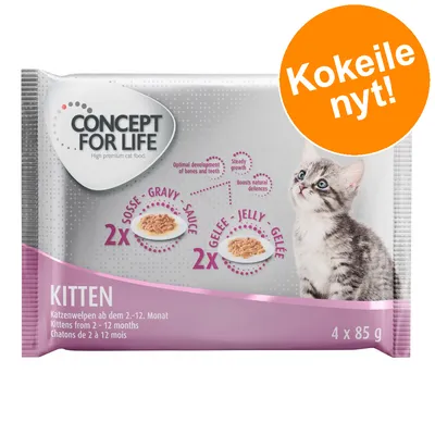 CONCEPT FOR LIFE Kitten, 4 x 85 g. 2 x gravy, 2 x jelly. Kokeile nyt! Teksti: Kittens from 2–12 months. Kuvassa kissanpentu ja annoskuvat kastikkeessa ja hyytelössä.