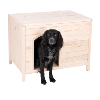 Niche pour chien en bois clair, un chien noir assis à l'entrée. Matériau visible : bois non traité. Ouverture rectangulaire sur le devant.