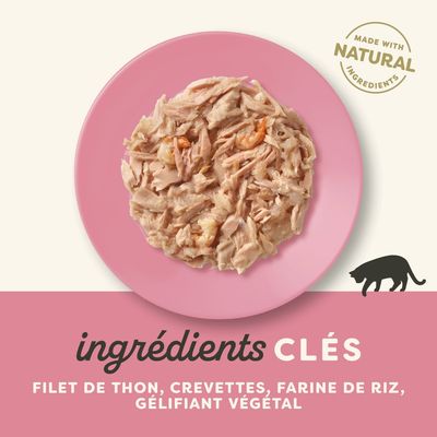 Lot de 16 sachets Applaws Chicken Breast with Beef in jelly, 70 g chacun. Texte visible : 16x70g, 70g, illustration de poulet et chat.