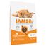 IAMS Advanced Nutrition Adult Cat mit Huhn 10 kg