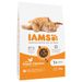 IAMS Advanced Nutrition Adult Cat mit Huhn 10 kg