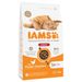 IAMS Advanced Nutrition Indoor Cat mit Huhn 3 kg